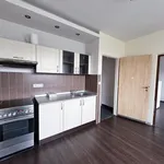 Rent 1 bedroom apartment of 46 m² in Krupka