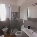 Rent 3 bedroom apartment of 75 m² in Roma