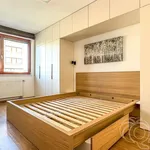 Rent 2 bedroom apartment in Capital City of Prague