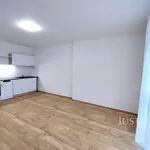 Pronájem bytu 1+kk 27m²