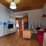 Affitto 4 camera appartamento di 116 m² in Latina