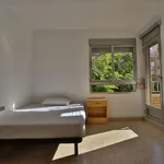 Rent 4 bedroom apartment in Valencia