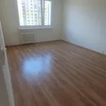 Rent 1 bedroom apartment of 45 m² in Chomutov