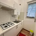 Rent 1 bedroom apartment of 40 m² in Roma