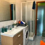 Rent a room in turin