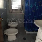 Rent 3 bedroom apartment of 70 m² in Amantea