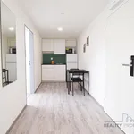 Rent 2 bedroom apartment of 33 m² in Brno