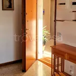 Rent 3 bedroom apartment of 110 m² in Milano