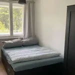 Miete 1 Schlafzimmer wohnung in berlin