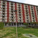 Rent 4 bedroom apartment of 120 m² in Melegnano