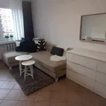 Rent 2 bedroom apartment of 42 m² in Katowice