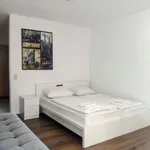 Rent 1 bedroom apartment of 26 m² in Freiburg im Breisgau