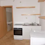 Rent 1 bedroom apartment of 33 m² in Chemnitz