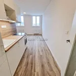 Pronajměte si 1 ložnic/e byt o rozloze 43 m² v Brno