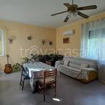 Rent 1 bedroom apartment of 55 m² in Venezia