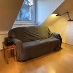 Rent 1 bedroom apartment of 45 m² in Frankfurt