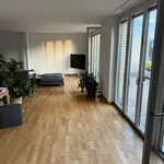 Miete 1 Schlafzimmer wohnung in Zurich