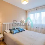 Alquilo 1 dormitorio apartamento de 55 m² en Oviedo