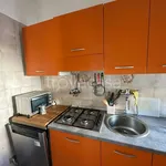 Rent 2 bedroom apartment of 55 m² in Milano