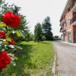 Rent 5 bedroom apartment of 170 m² in Leini