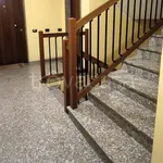 Rent 2 bedroom apartment of 55 m² in Padova