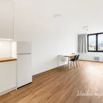 Rent 2 bedroom apartment of 55 m² in Prague