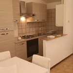 Rent 2 bedroom apartment of 50 m² in Modena