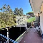 Rent 2 bedroom apartment of 40 m² in Roma