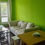 Rent 1 bedroom apartment in Ostrava