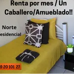 Rent 1 bedroom apartment of 60 m² in Aguascalientes