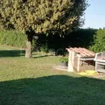 Rent 2 bedroom house of 110 m² in Montalto di Castro