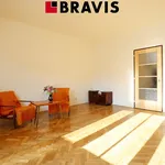 Rent 1 bedroom apartment of 45 m² in Brno