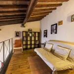 Rent 1 bedroom apartment in florence