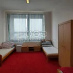 Rent 1 bedroom apartment in Havlíčkův Brod