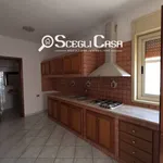 Rent 3 bedroom apartment of 125 m² in Carini