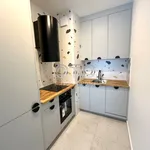 Rent 2 bedroom apartment of 46 m² in Wrocław