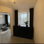 Rent 1 bedroom apartment of 49 m² in Berlin