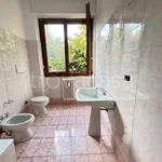 Rent 4 bedroom apartment of 130 m² in Concorezzo