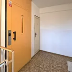 Pronajměte si 1 ložnic/e byt o rozloze 27 m² v prosek