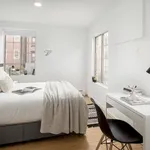 Rent 1 bedroom apartment in New York