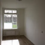 Rent 4 bedroom apartment of 86 m² in Limbrichterveld