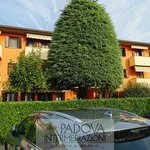 Rent 4 bedroom apartment of 80 m² in Padua