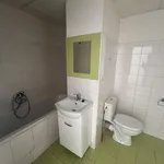 Rent 1 bedroom apartment in Chomutov