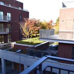 Rent 1 bedroom apartment in Roeselare