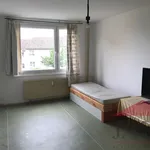 Rent 1 bedroom apartment of 39 m² in Hartmanice