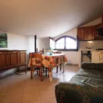 3-room flat good condition, second floor, Pietrasanta