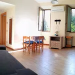 Rent 2 bedroom apartment of 45 m² in Roma