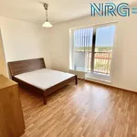 Pronajměte si 2 ložnic/e byt o rozloze 58 m² v Prague