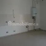 Rent 4 bedroom apartment of 115 m² in Piacenza