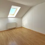 Pronajměte si 1 ložnic/e dům o rozloze 151 m² v Černá u Bohdanče